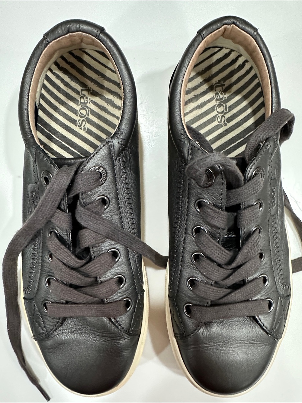 Taos Plim Soul Lux Leather Sneakers